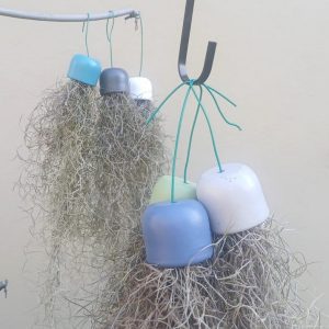 Hanging airplant pot with T usneoides