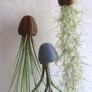 Jelly Airplant Hanger Large