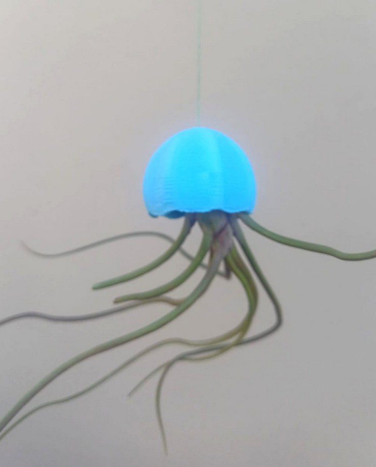 Jelly Airplant Hangers Mini - Image 10
