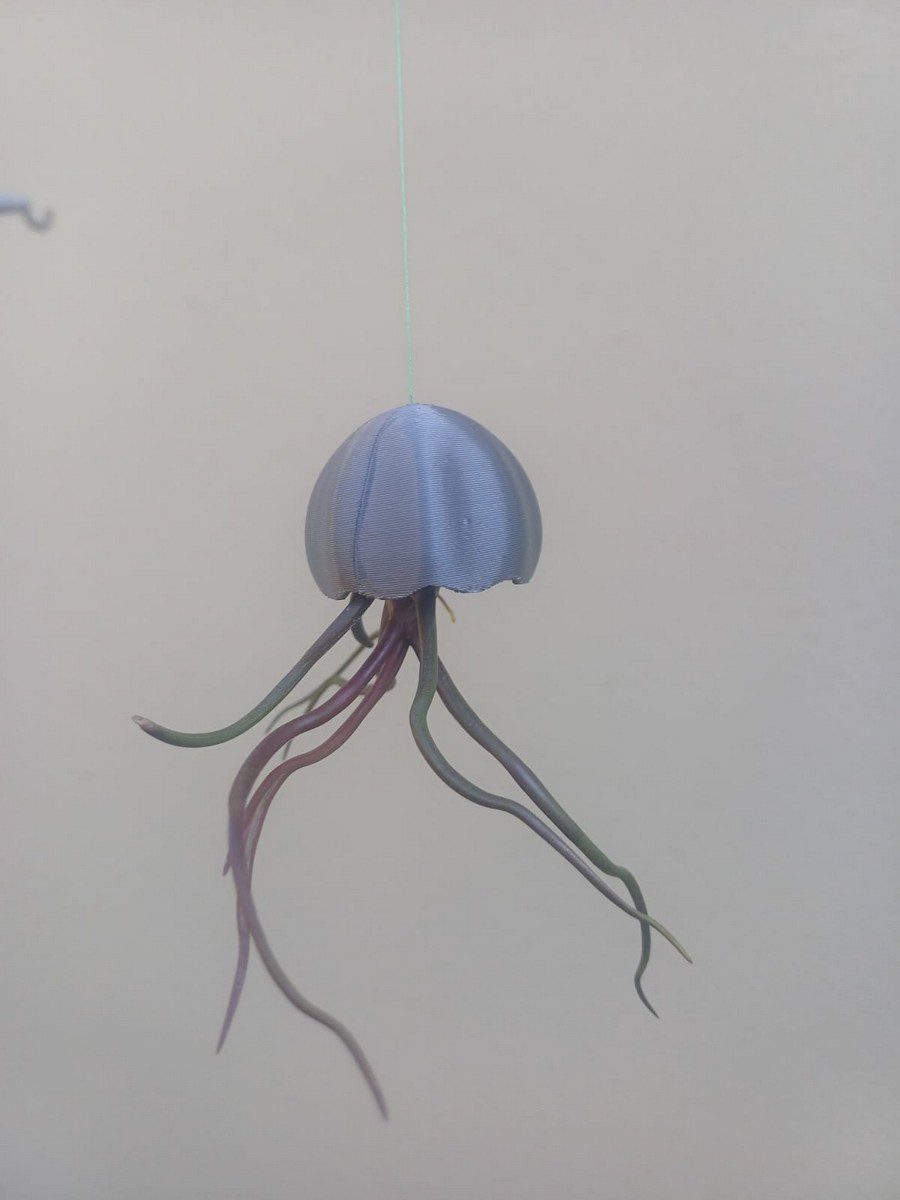 Jelly Airplant Hangers Mini - Image 11