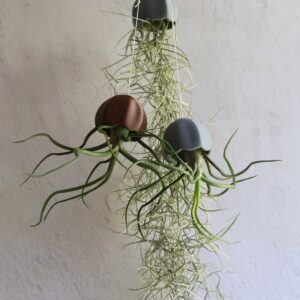Jelly Airplant Hangers Mini