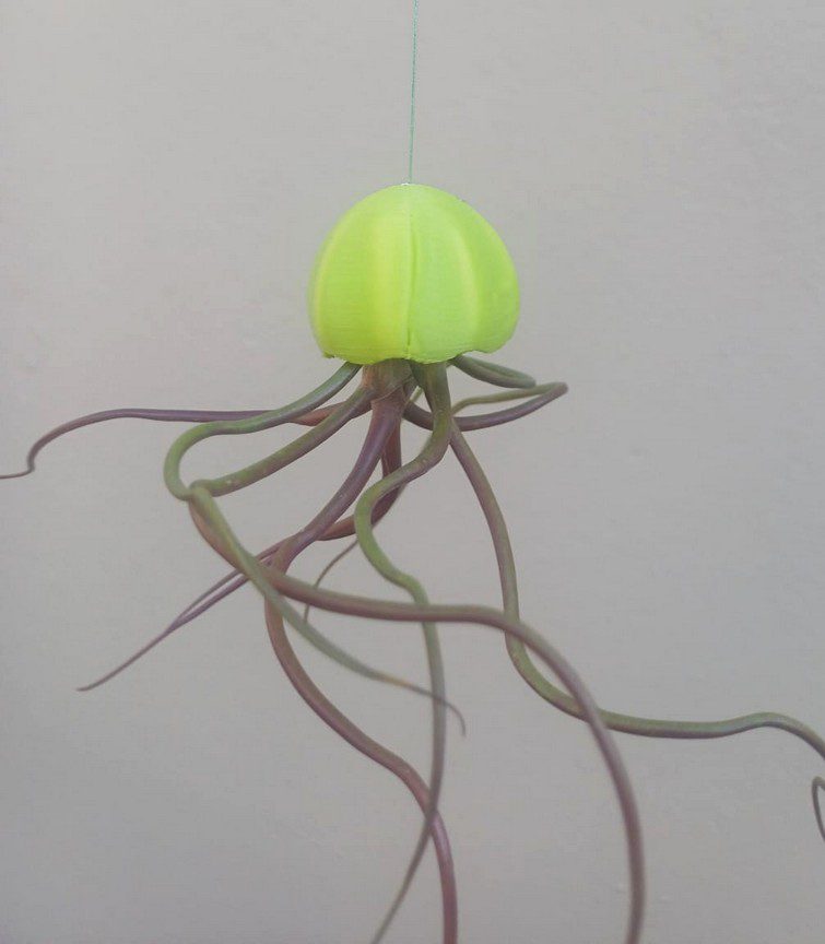 Jelly Airplant Hangers Mini - Image 9
