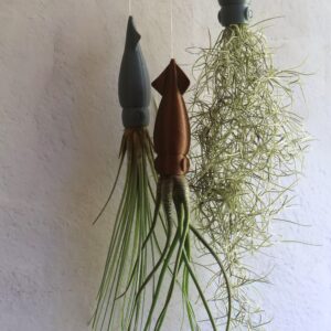 Squid Airplant Hanger