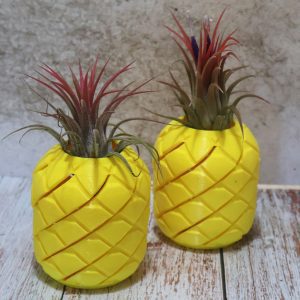 Pineapple Plant Stand