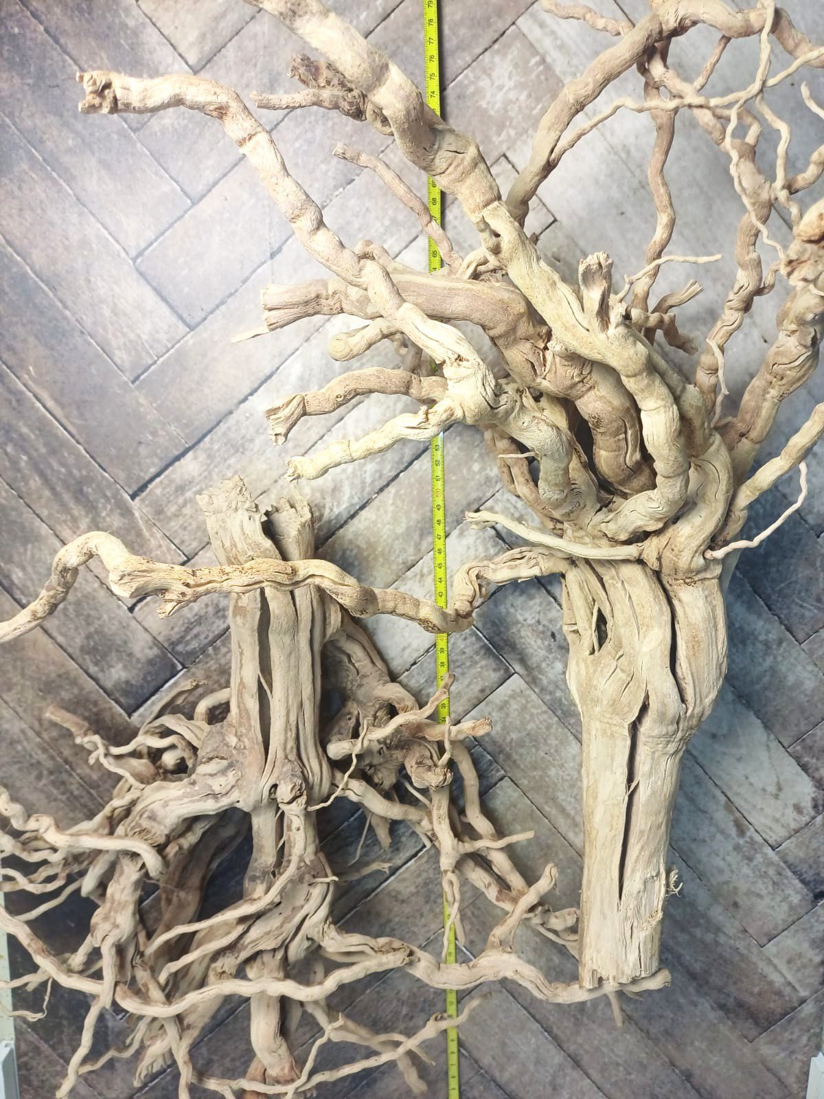 Spider wood - Image 2