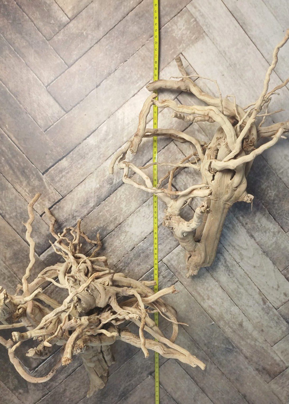 Spider wood - Image 3