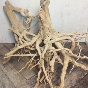 Spider wood