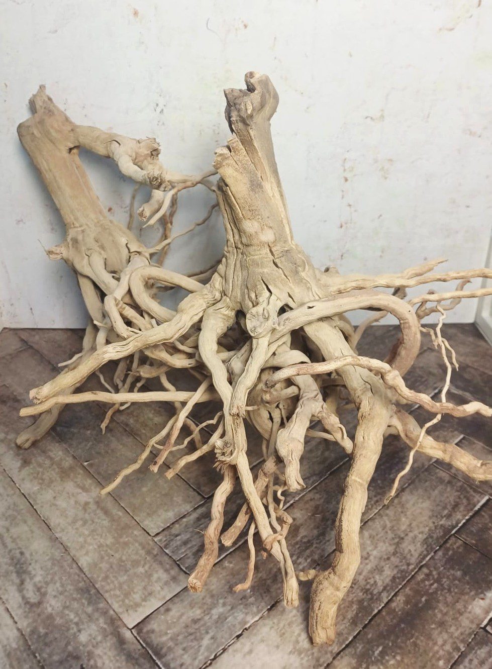 Spider wood